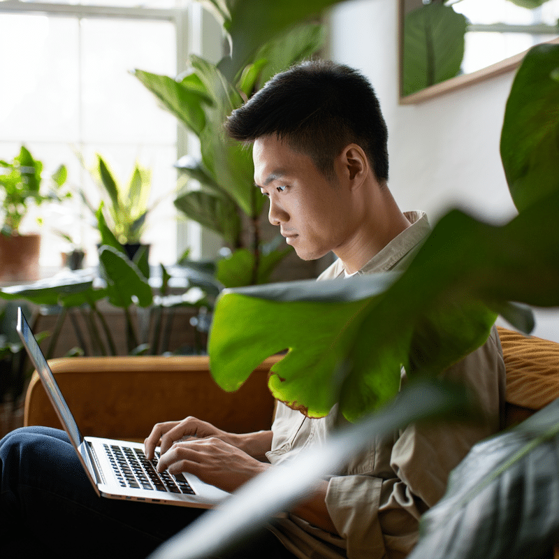 A person sits on a couch using a laptop, surrounded by lush green houseplants, with natural light coming through a window in the background.